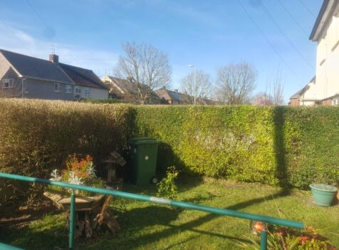 Hedge Cutting Marshfield
