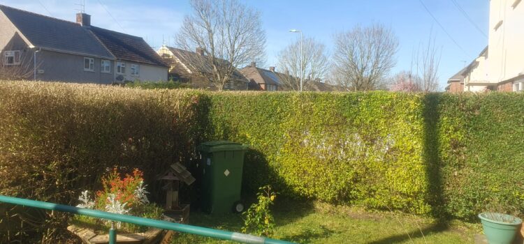 shrub trimming in Cardiff
