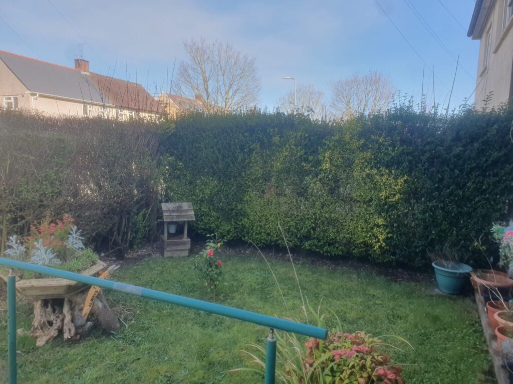 shrub trimming in Cardiff
