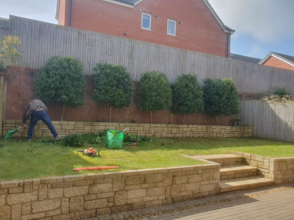 Hedge Trimming and Shrub Care in St. Mellons