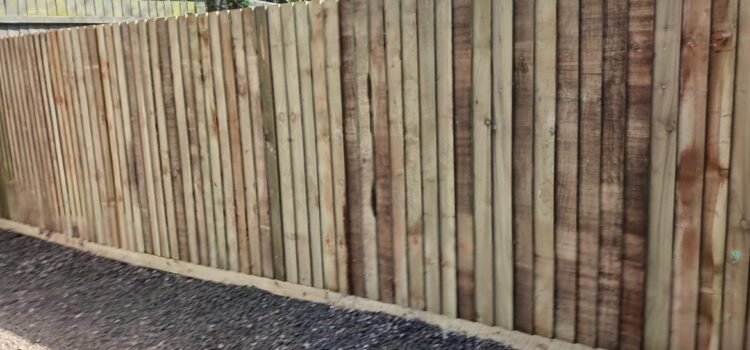 Garden fencing in Cardiff