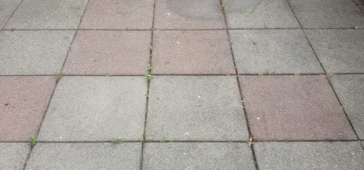 Jet Washing Patio In Port Talbot