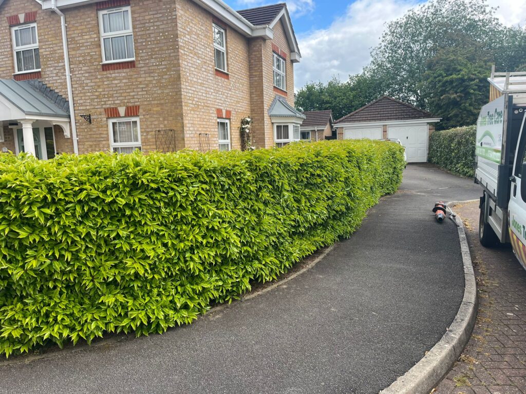 Hedge Cutting Talygarn