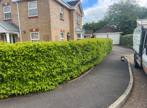 Hedge Cutting Talygarn