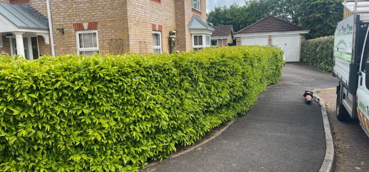 Hedge Cutting Talygarn