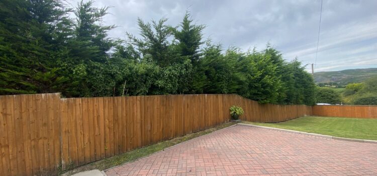 Block Paving Cleaning in Crowbridge