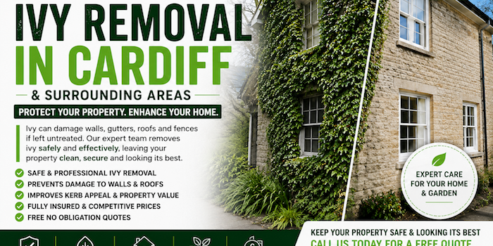 Local Ivy Removal Radyr