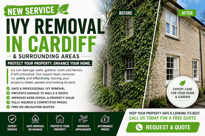 Local Ivy Removal Radyr